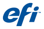 EFI logo